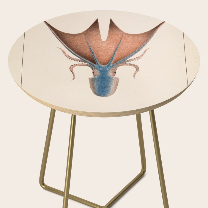 Art from "Mollusques Méditeranéens" by Jean Baptiste Vérany, 1851 (Benefitting The Nature Conservancy) Side Table Gallery Image 2