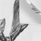 Bubble Gum Moose in Black and White Wall Tapestry Gallery Image 3