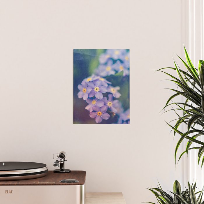 Forget Me Not Poster Gallery Image 2