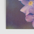 Forget Me Not Poster Gallery Image 3