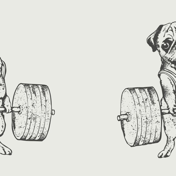 Pug Lift Coffee Mug Gallery Image 2
