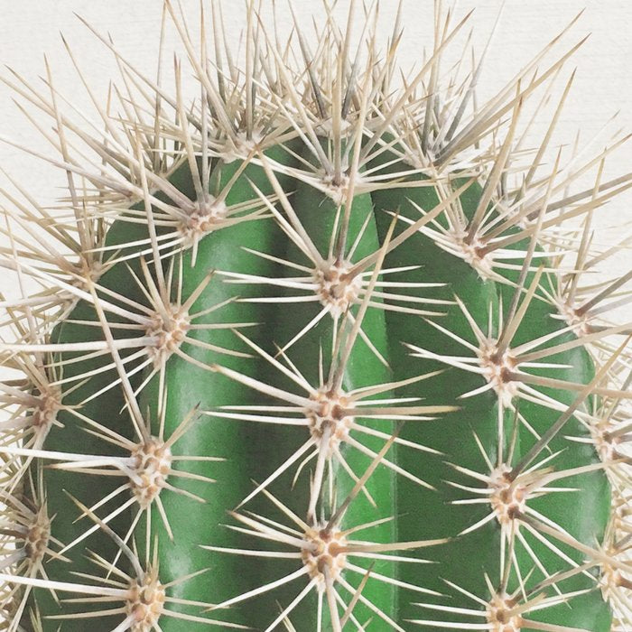 Cactus Coffee Mug Gallery Image 2