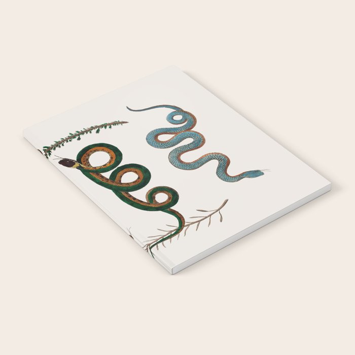 Albertus Seba Baby Breath Snakes  Notebook Gallery Image 1