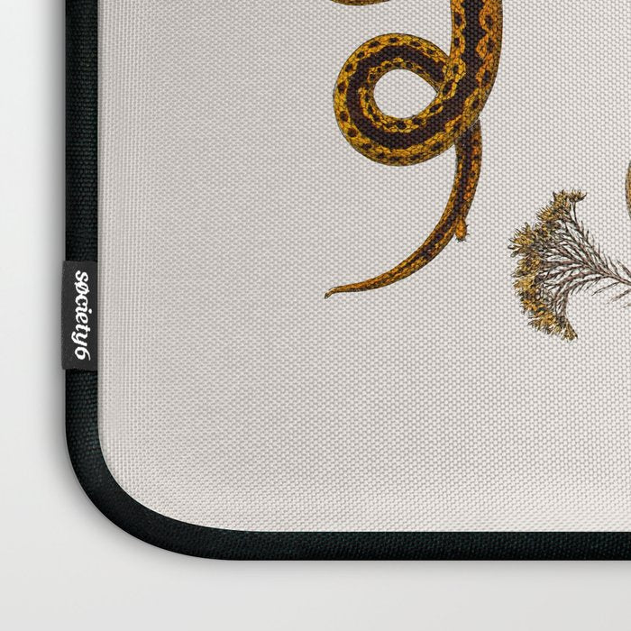 Albertus Seba Baby Breath Snakes  Laptop Sleeve Gallery Image 3