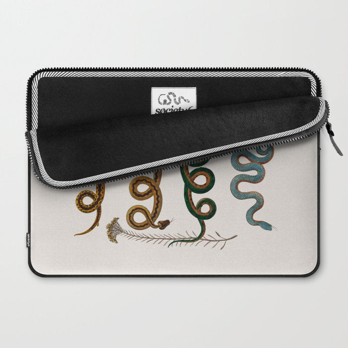 Albertus Seba Baby Breath Snakes  Laptop Sleeve Gallery Image 2
