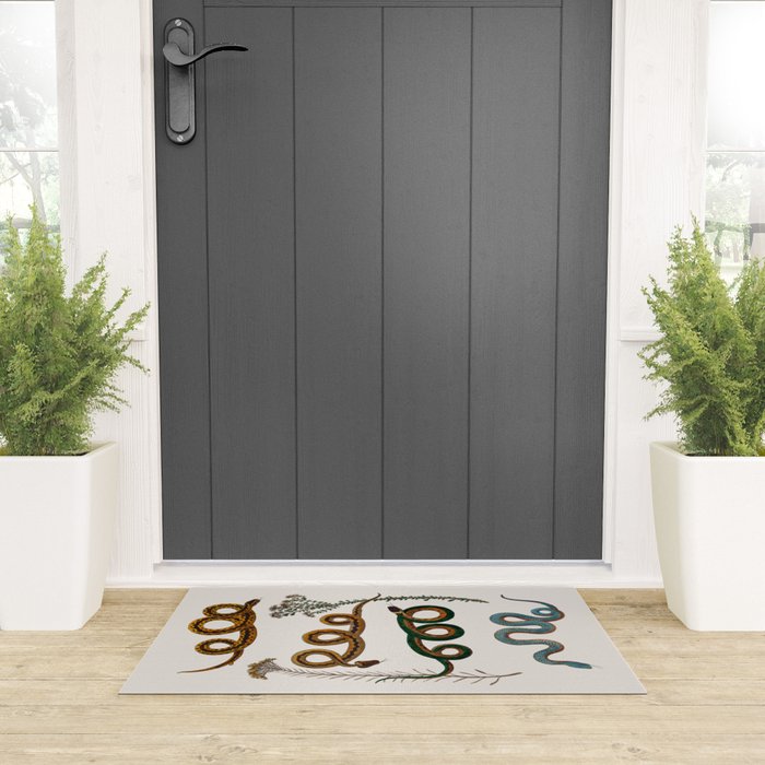 Albertus Seba Baby Breath Snakes  Welcome Mat Gallery Image 3