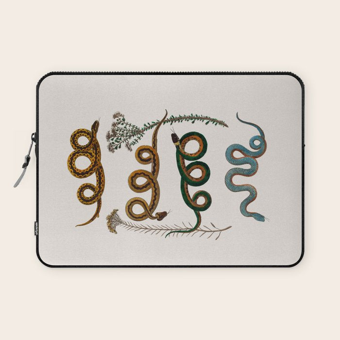 Albertus Seba Baby Breath Snakes  Laptop Sleeve Gallery Image 1