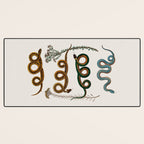 Albertus Seba Baby Breath Snakes  Desk Mat Gallery Image 3