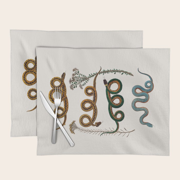 Albertus Seba Baby Breath Snakes  Placemat Gallery Image 1