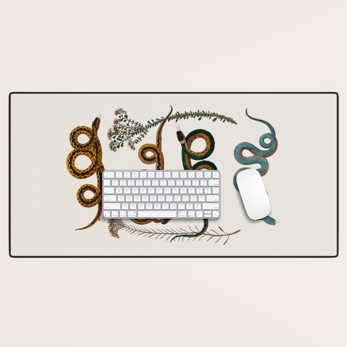 Albertus Seba Baby Breath Snakes  Desk Mat Gallery Image 1