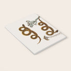 Albertus Seba Baby Breath Snakes  Notebook Gallery Image 3