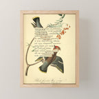 Bohemian Chatterer from 'An Almanac of Birds - Divinations for Uncertain Days' (almanacofbirds.org) Mini Art Print Gallery Image 1