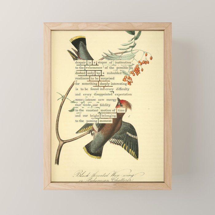 Bohemian Chatterer from 'An Almanac of Birds - Divinations for Uncertain Days' (almanacofbirds.org) Mini Art Print Gallery Image 1