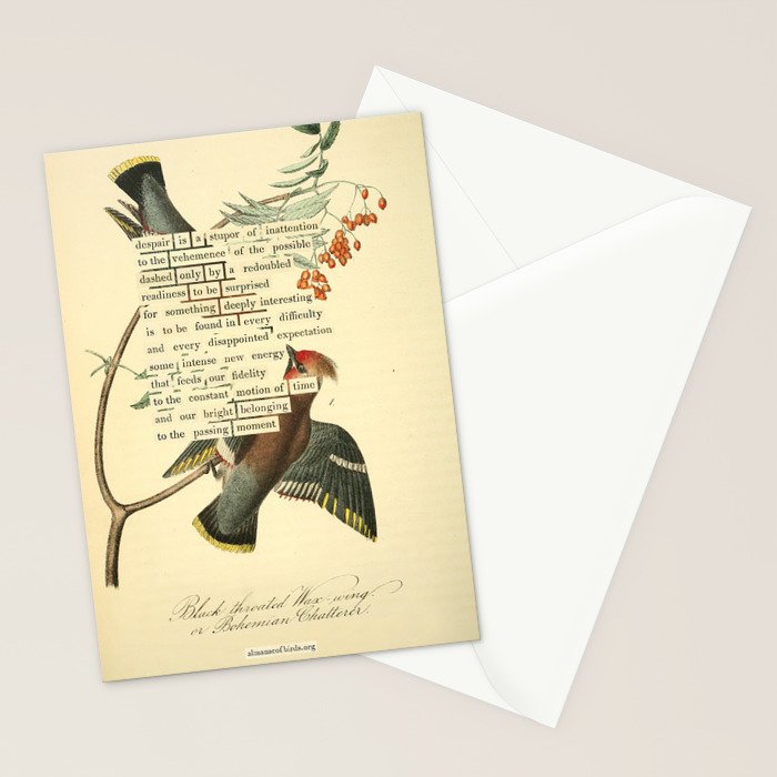 Bohemian Chatterer from 'An Almanac of Birds - Divinations for Uncertain Days' (almanacofbirds.org) Stationery Card Gallery Image 2