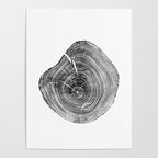 Loblolly Pine - Tree ring ink woodblock print Poster Gallery Image 4
