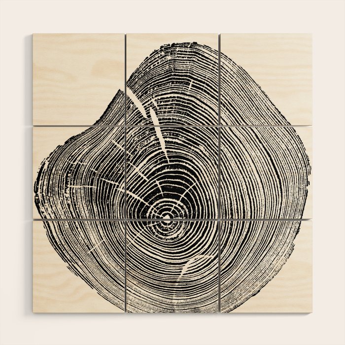 Loblolly Pine - Tree ring ink woodblock print Wood Wall Art Gallery Image 1