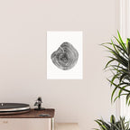 Loblolly Pine - Tree ring ink woodblock print Poster Gallery Image 2