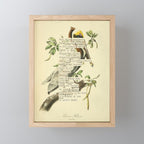 Bird Divinations: Brown Pelican (about: almanacofbirds.org) Mini Art Print Gallery Image 1