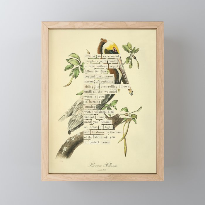 Bird Divinations: Brown Pelican (about: almanacofbirds.org) Mini Art Print Gallery Image 1
