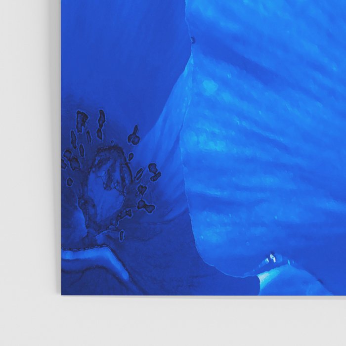 Blue Poppies #decor #society6 #buyart Poster Gallery Image 3