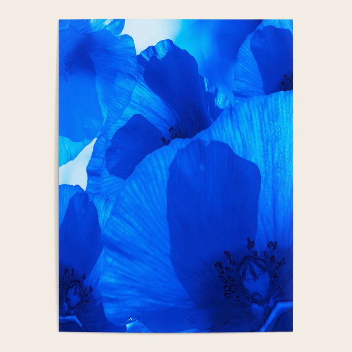 Blue Poppies #decor #society6 #buyart Poster Gallery Image 4