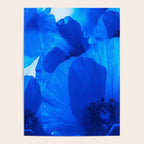 Blue Poppies #decor #society6 #buyart Poster Gallery Image 4