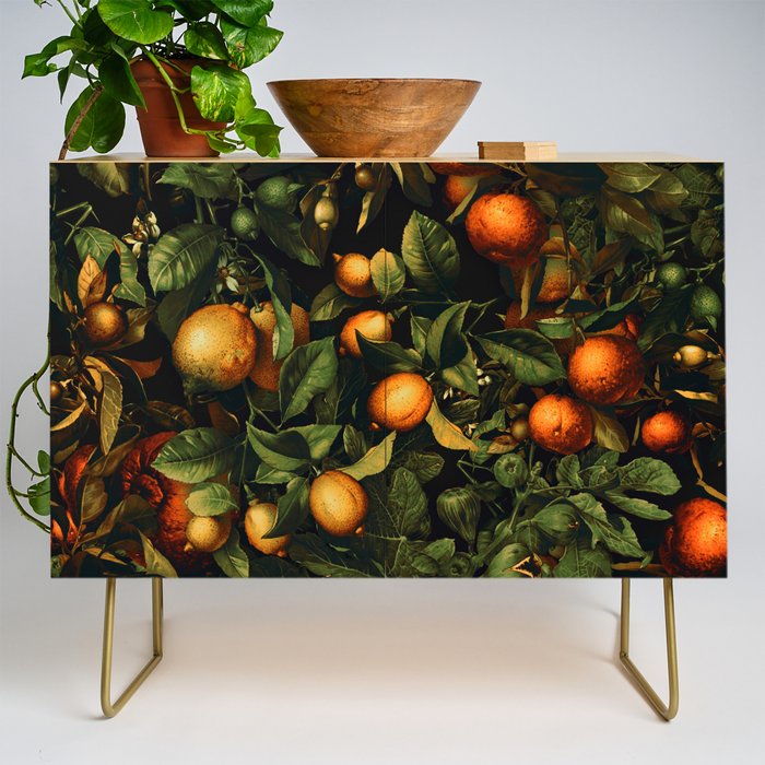 Vintage Fruit Pattern XX Credenza Gallery Image 1