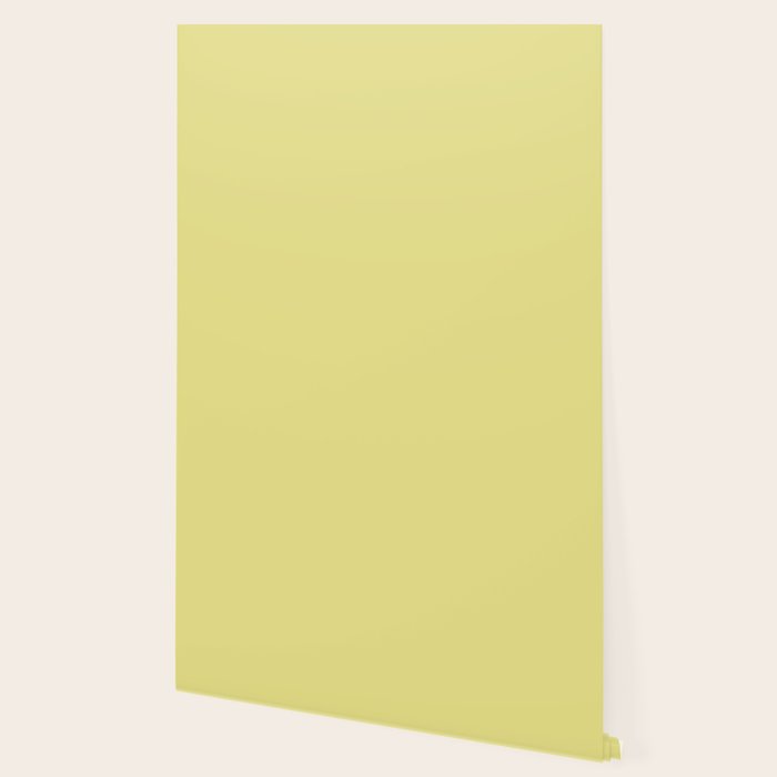 Linden Lemongrass Yellow-Green Solid Color Wallpaper Gallery Image 2