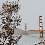 san francisco iii - california Coffee Mug Gallery Image 2