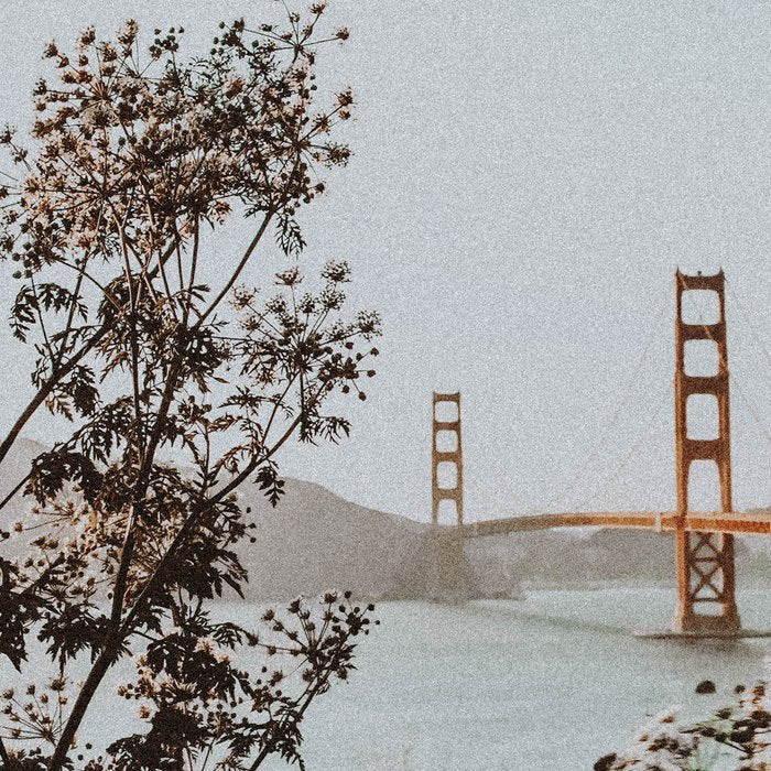 san francisco iii - california Coffee Mug Gallery Image 2