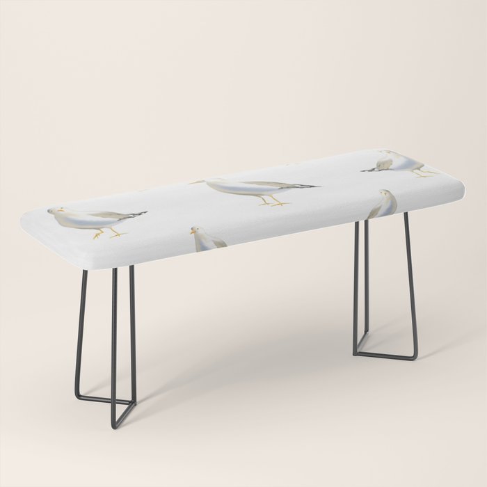 Seagull Watercolor White Background Bench Gallery Image 1