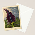 Dragon Arum (Arum Dracunculus) from "The Temple of Flora," 1812 (benefitting The Nature Conservancy) Stationery Card Gallery Image 2