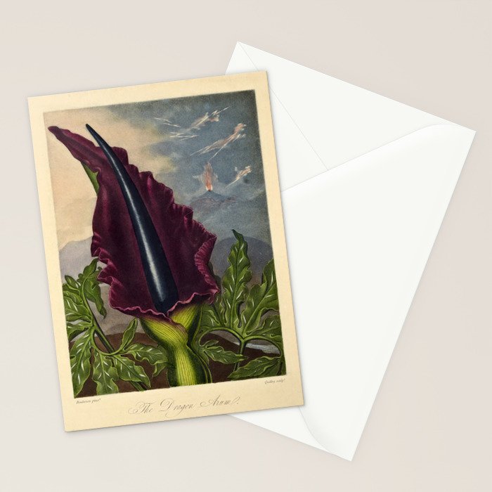 Dragon Arum (Arum Dracunculus) from "The Temple of Flora," 1812 (benefitting The Nature Conservancy) Stationery Card Gallery Image 2