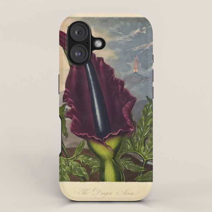 Dragon Arum (Arum Dracunculus) from "The Temple of Flora," 1812 (benefitting The Nature Conservancy) iPhone Case Gallery Image 1