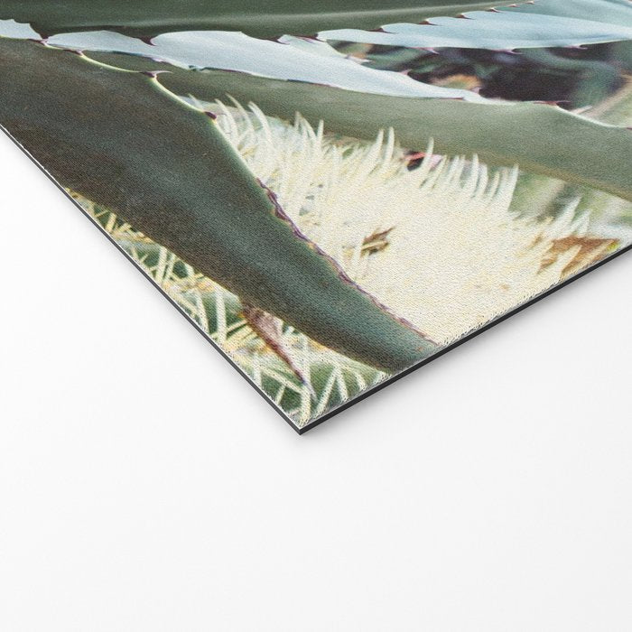 Desert Agave Welcome Mat Gallery Image 2