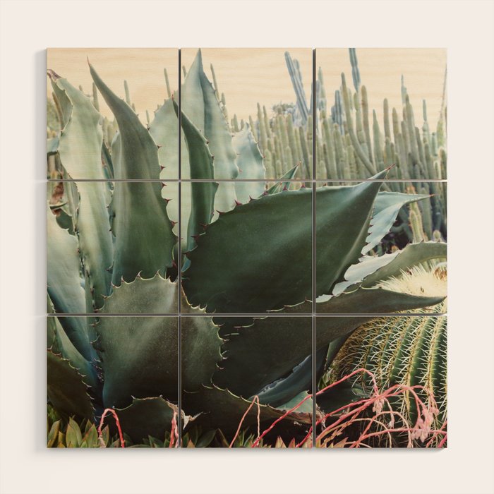 Desert Agave Wood Wall Art Gallery Image 1