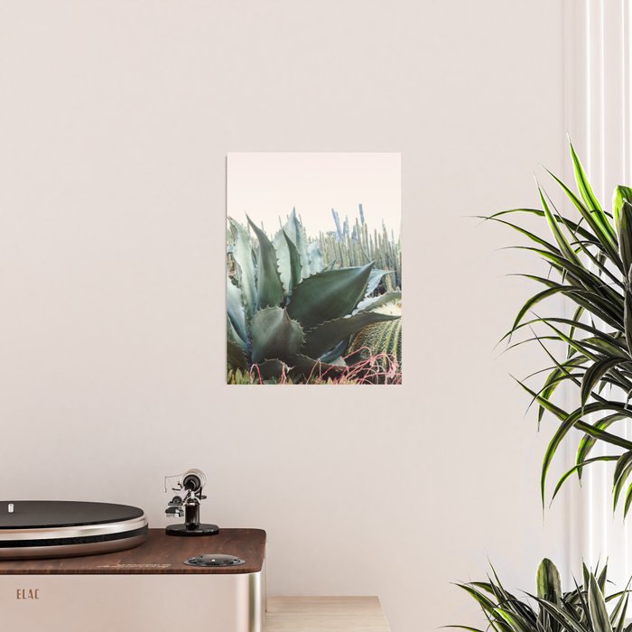 Desert Agave Poster Gallery Image 2