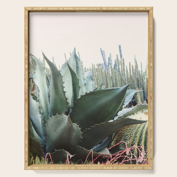Desert Agave Serving Tray Gallery Image 1