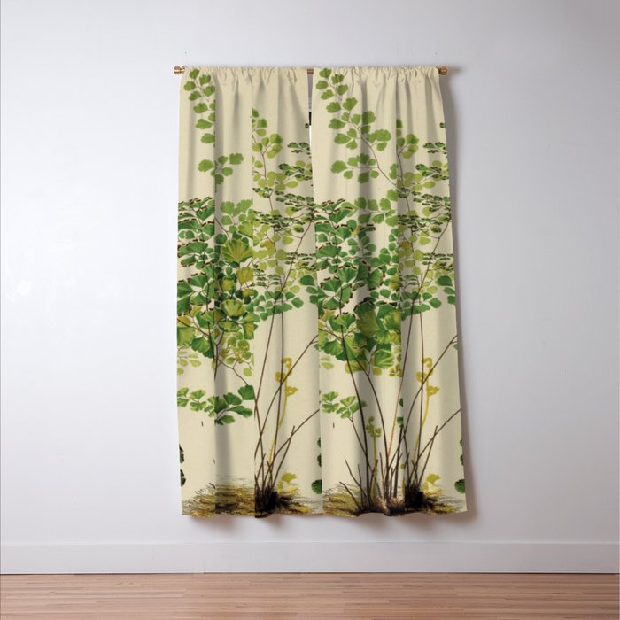 Maidenhair Ferns Window Curtain Gallery Image 3