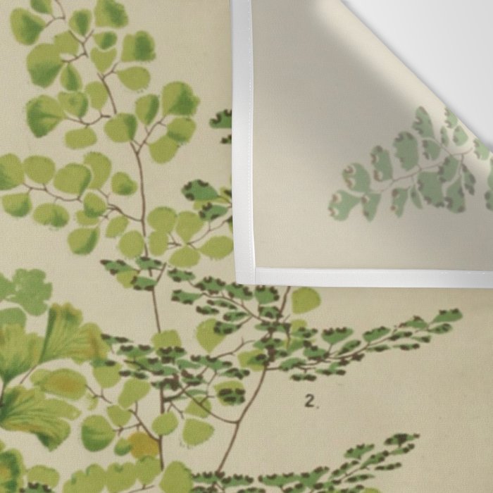 Maidenhair Ferns Wall Tapestry Gallery Image 3