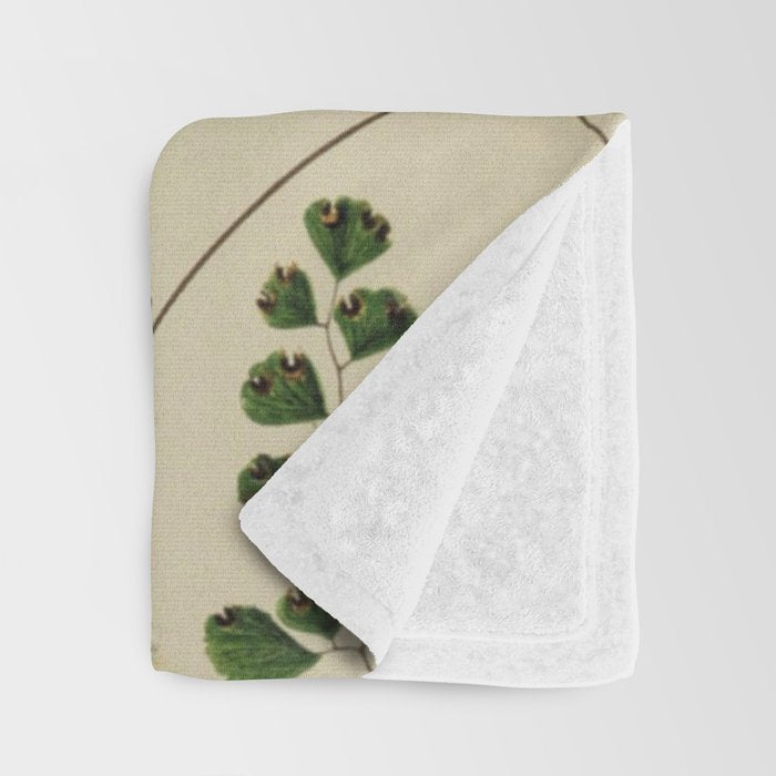 Maidenhair Ferns Throw Blanket Gallery Image 3