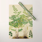 Maidenhair Ferns Wrapping Paper Gallery Image 1