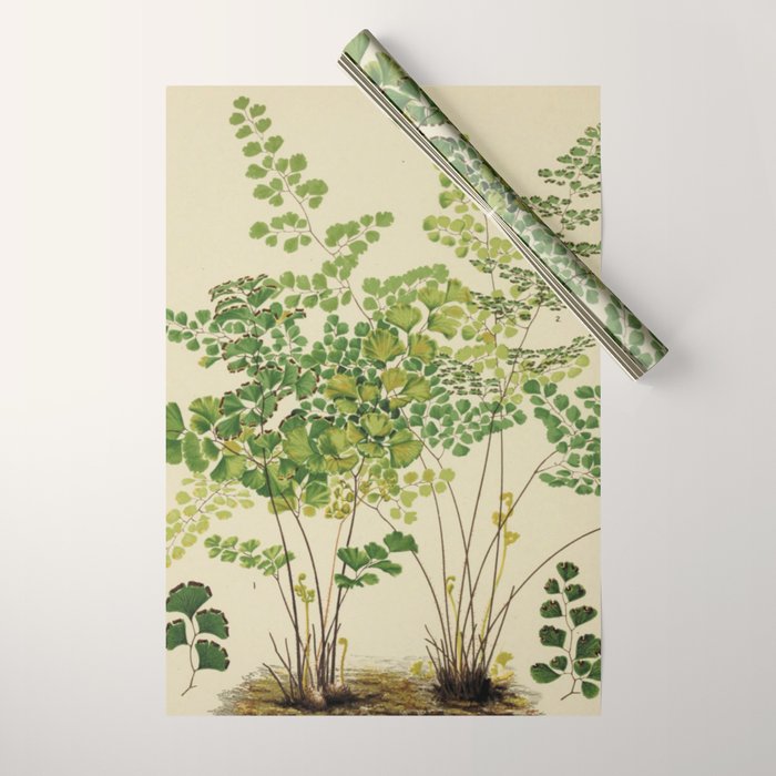 Maidenhair Ferns Wrapping Paper Gallery Image 1