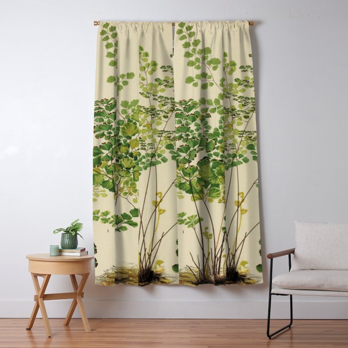 Maidenhair Ferns Window Curtain