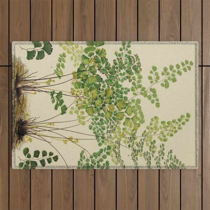 Maidenhair Ferns Outdoor Rug Gallery Image 1