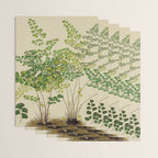 Maidenhair Ferns Wrapping Paper Gallery Image 3