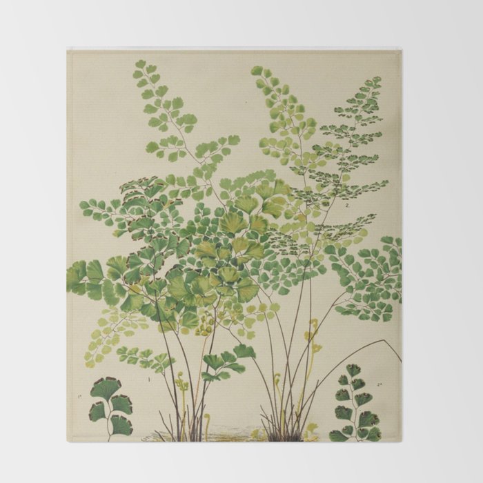 Maidenhair Ferns Throw Blanket Gallery Image 2