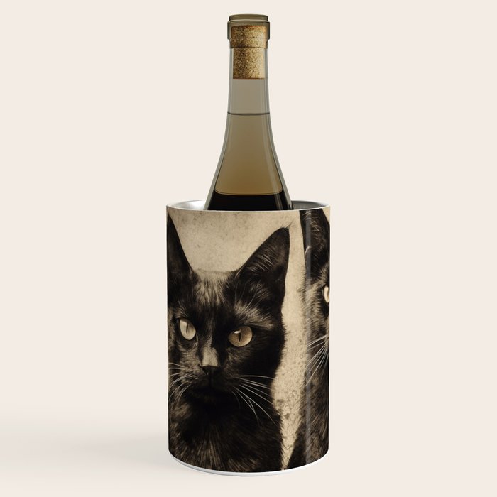 We are watching you. Wine Chiller Gallery Image 2
