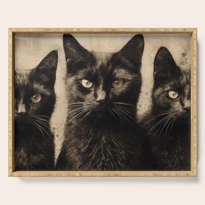 We are watching you. Serving Tray Gallery Image 1