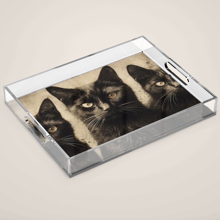 We are watching you. Acrylic Tray Gallery Image 1